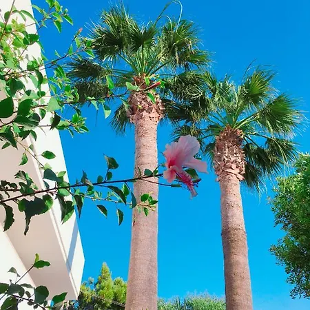 Bed and Breakfast Sasso D'oro A Mare Polignano a Mare