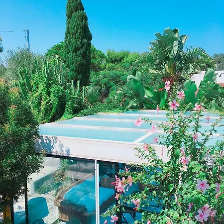 Sasso D'oro A Mare Bed & Breakfast