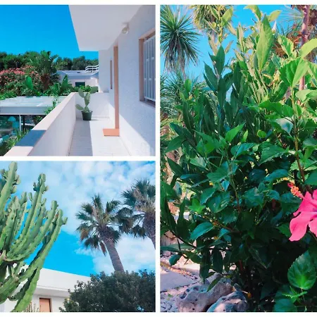 Bed & Breakfast Sasso D'oro A Mare Polignano a Mare