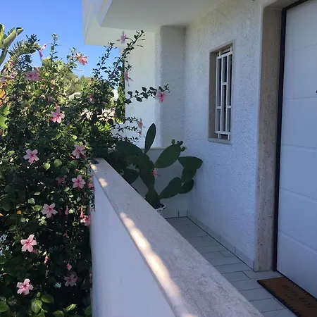 Bed & Breakfast Sasso D'oro A Mare Polignano a Mare